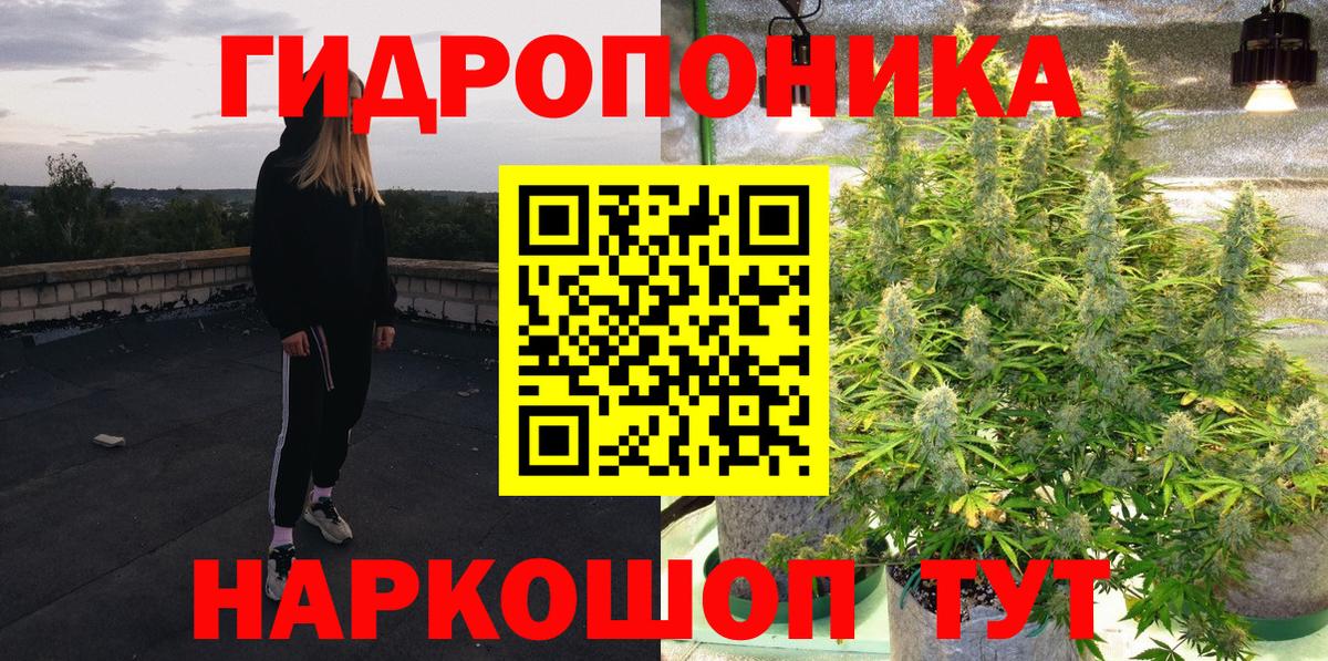 Марихуана план  Бошки марихуана индика  Вход с VPN  Лабытнанги 